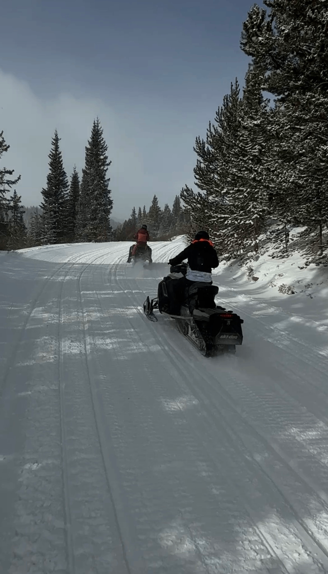 Tour en motos de nieve entre pinos nevados